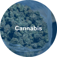 Cannabis Industry Navigation
